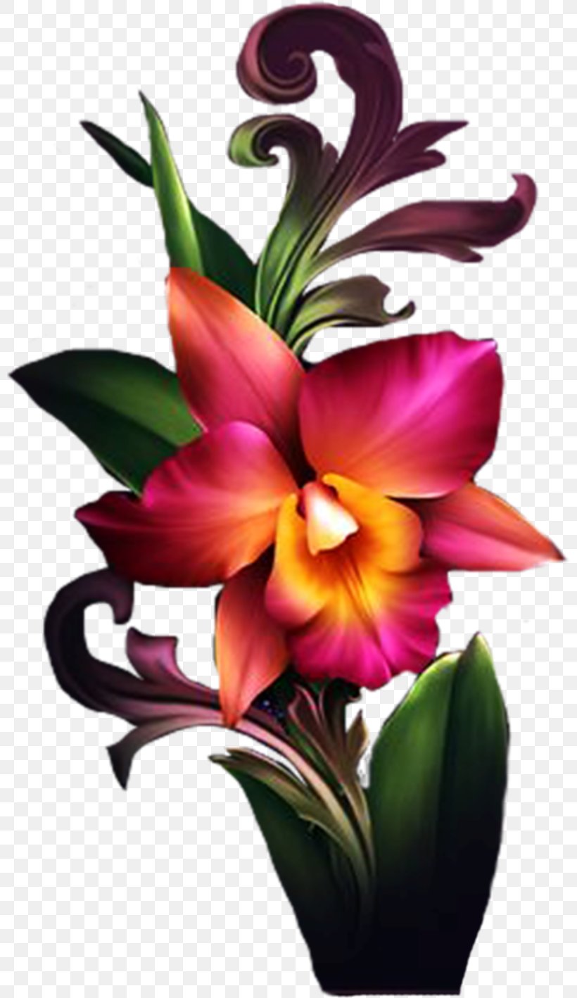 Cut Flowers Floral Design Cattleya Orchids Clip Art, PNG, 800x1418px, Flower, Cattleya, Cattleya Orchids, Cut Flowers, Daylily Download Free