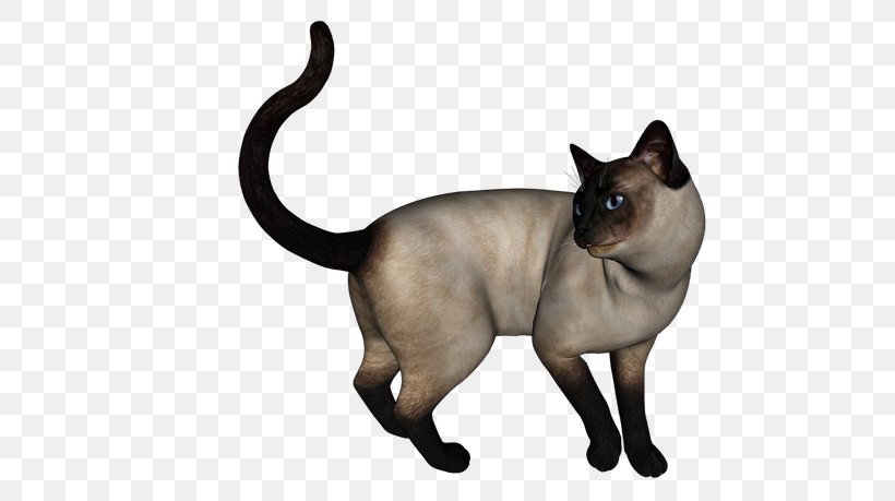 Sphynx Cat Black Cat Stock Photography Illustration Image, PNG, 640x459px, Sphynx Cat, Art, Black Cat, Burmese, Carnivoran Download Free