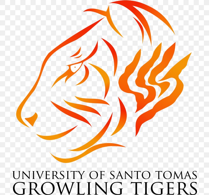 University Of Santo Tomas UST Growling Tigers Men's Basketball Drawing, PNG, 726x768px, University Of Santo Tomas, Area, Artwork, Drawing, Education Download Free