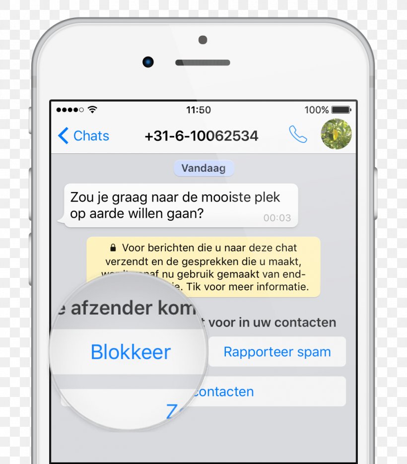 WhatsApp Message Telephone IPhone MSpy, PNG, 1002x1143px, Whatsapp, Area, Document, Facebook Inc, Information Download Free