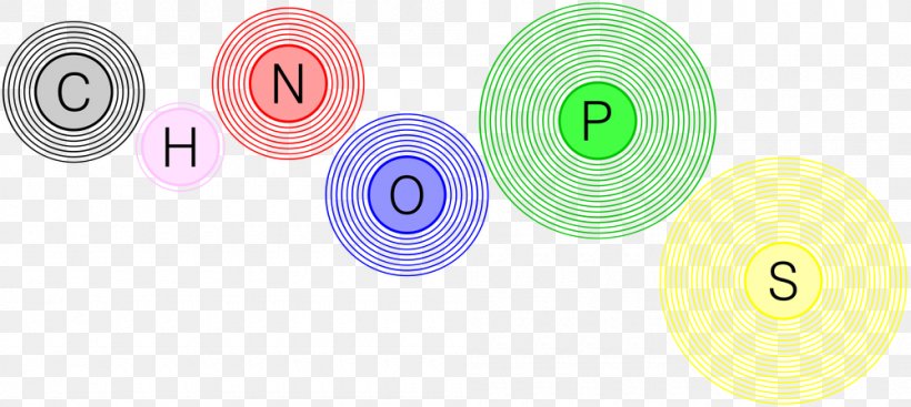 CHON Nitrogen Hydrogen Carbon Chemical Element, PNG, 1000x448px, Chon, Biological Membrane, Biology, Carbon, Carbonbased Life Download Free