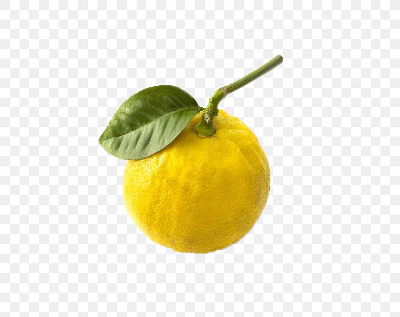 Citrus Junos Lemon Mandarin Orange Bergamot Orange Rangpur, PNG, 548x650px, Citrus Junos, Bergamot Orange, Bitter Orange, Citric Acid, Citron Download Free