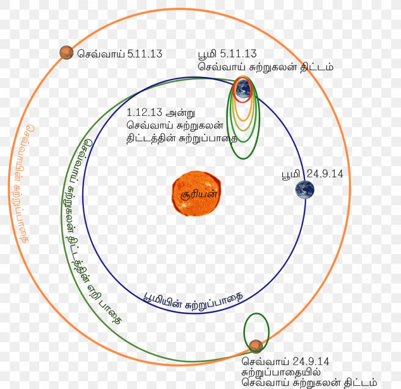 Diagram Circle Point Organism, PNG, 1054x1024px, Diagram, Area, Organism, Point, Text Download Free