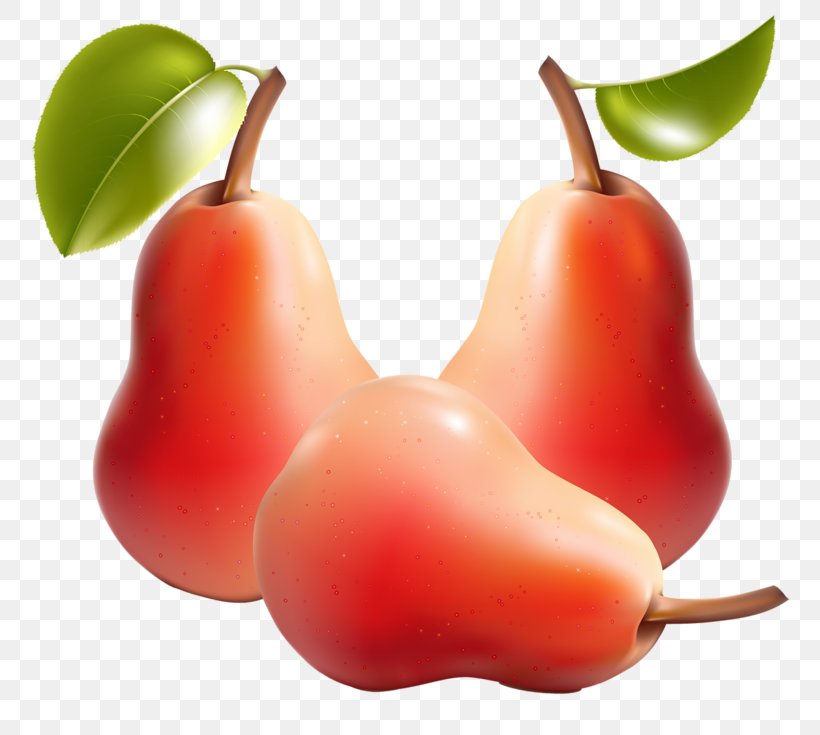 Fruit Vegetable Pear Illustration, PNG, 800x735px, Fruit, Accessory Fruit, Apple, Bell Peppers And Chili Peppers, Diet Food Download Free