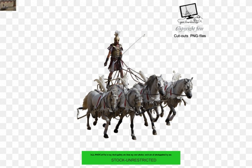 Horse Tack Chariot Wagon Horse Harnesses, PNG, 1024x682px, Horse, Chariot, Deviantart, Horse Harness, Horse Harnesses Download Free