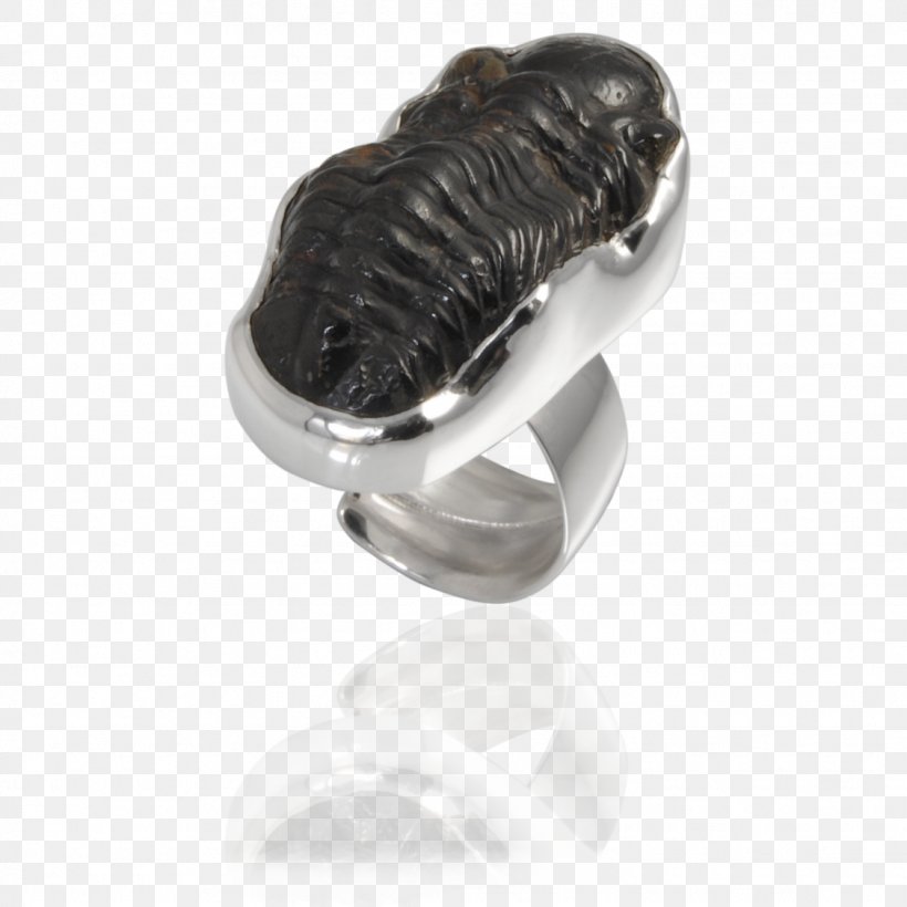 Earring Gemstone Fossil Jewellery, PNG, 1126x1126px, Ring, Amber, Body Jewellery, Body Jewelry, Bracelet Download Free