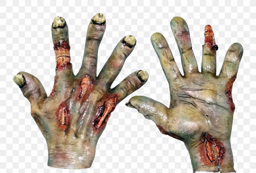 Hand Bone Decomposition Finger Human Skeleton, PNG, 1024x692px, Watercolor, Cartoon, Flower, Frame, Heart Download Free