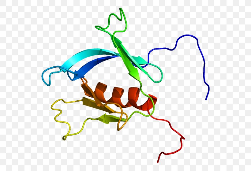 PLEKHA6 Protein Pleckstrin Homology Domain Gene Human, PNG, 600x559px, Watercolor, Cartoon, Flower, Frame, Heart Download Free