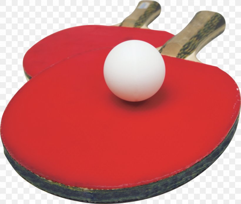 Table Tennis Racket, PNG, 2746x2328px, Table Tennis Racket, Badminton, Ball, Head, Net Download Free