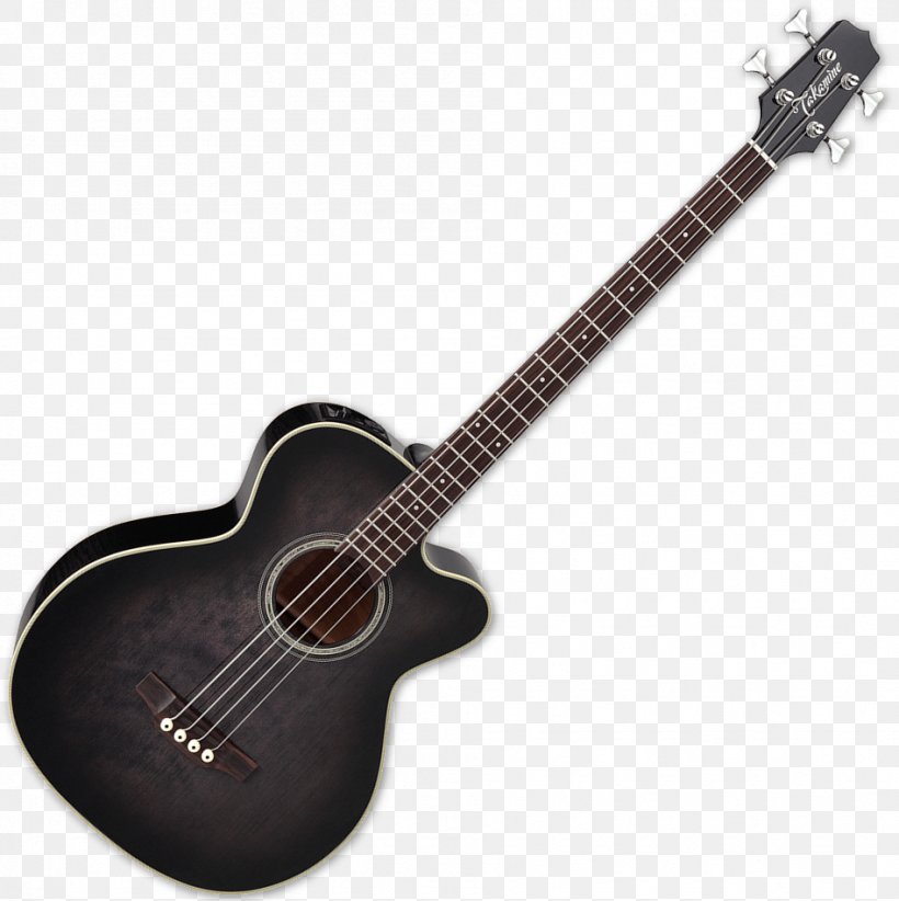 Twelve-string Guitar Acoustic-electric Guitar Acoustic Guitar Bass Guitar, PNG, 947x950px, Watercolor, Cartoon, Flower, Frame, Heart Download Free