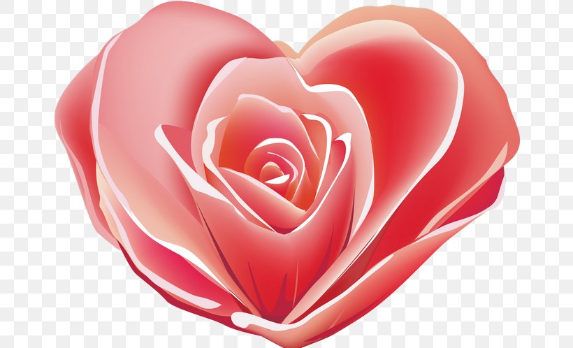 Computer Icons Valentine's Day Heart, PNG, 670x498px, Valentine S Day, Cut Flowers, Drawing, Flower, Flowering Plant Download Free