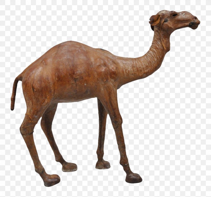 Dromedary Pyramid Of Khafre Terrestrial Animal Camel, PNG, 1568x1460px, Dromedary, Animal, Animal Figure, Arabian Camel, Art Download Free