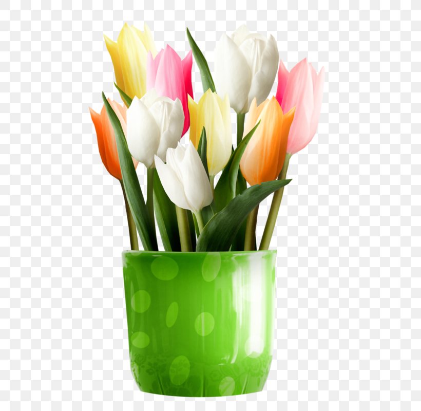 Flower Tulip Desktop Wallpaper Clip Art, PNG, 560x800px, Flower, Art, Artificial Flower, Blog, Cut Flowers Download Free