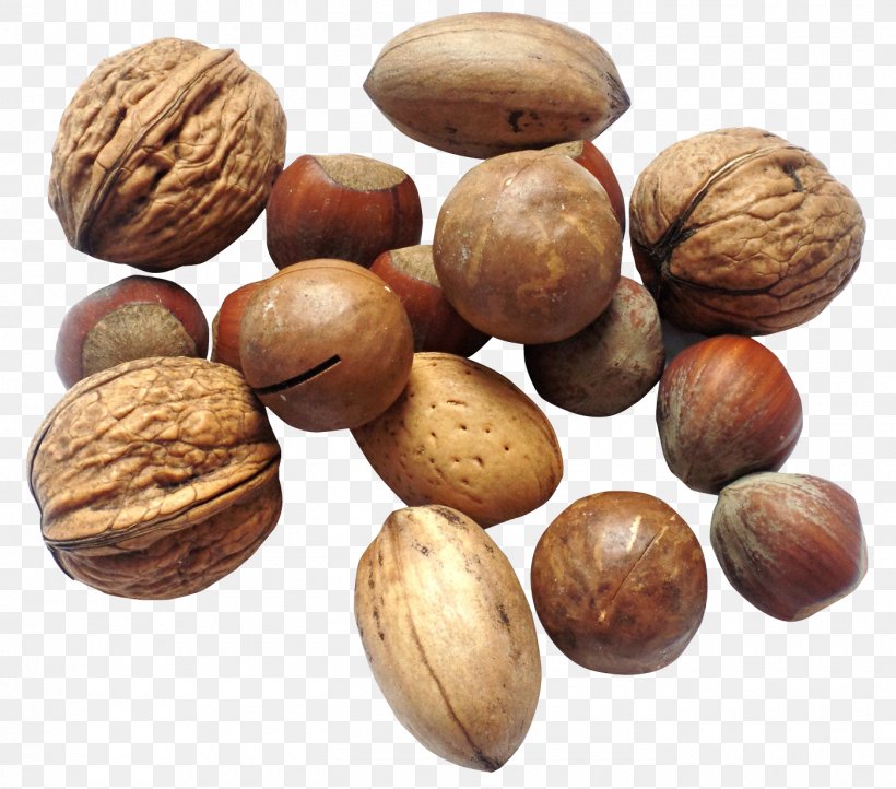 Walnut Dried Fruit Seed, PNG, 1400x1234px, Nut, Food, Fruit, Hazelnut, Ingredient Download Free
