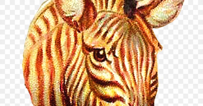 Zebra Cat Tiger, PNG, 1200x630px, Zebra, Animal, Big Cat, Big Cats, Carnivoran Download Free