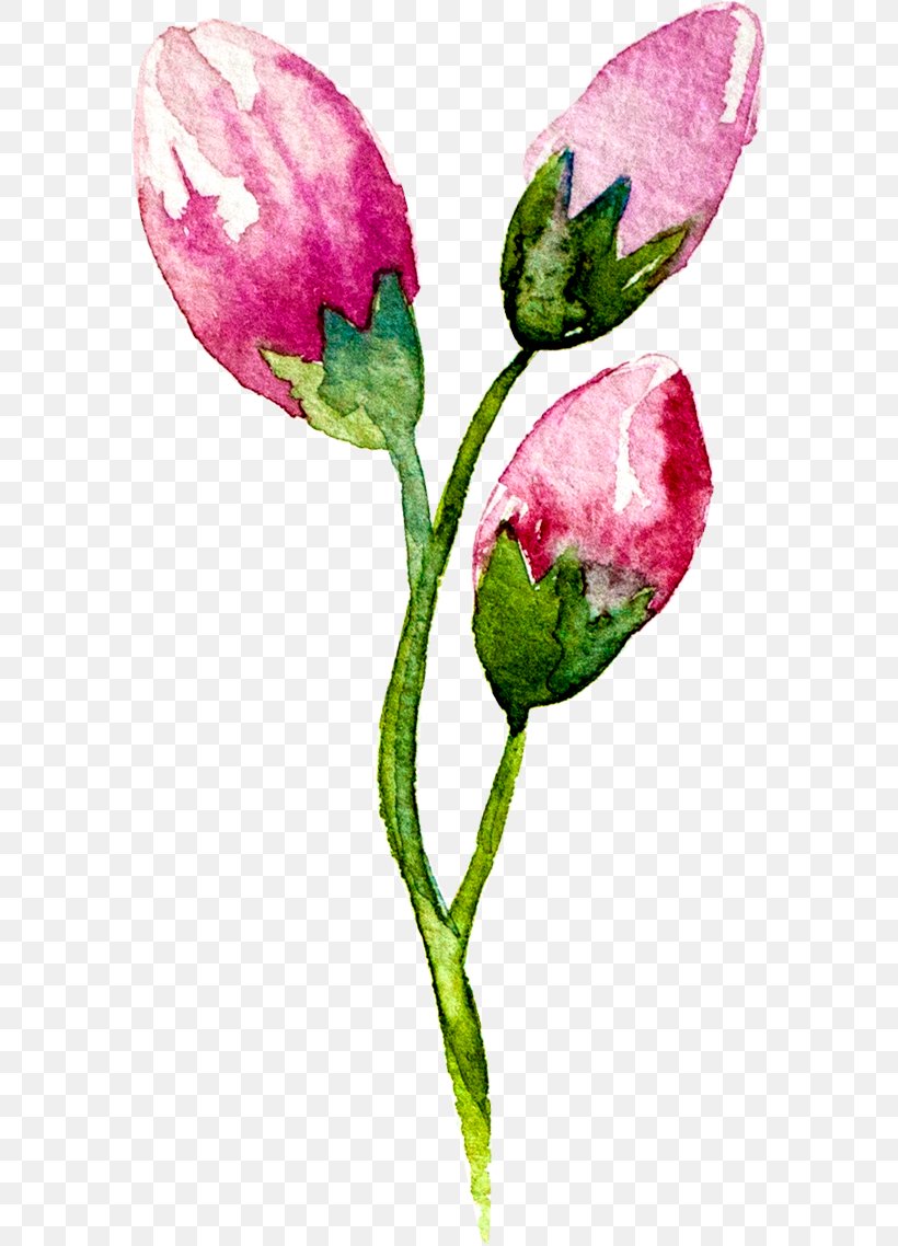 Creative Watercolor Watercolour Flowers Watercolor: Flowers Watercolor Painting Bud, PNG, 579x1138px, Creative Watercolor, Bud, Color, Flora, Flower Download Free