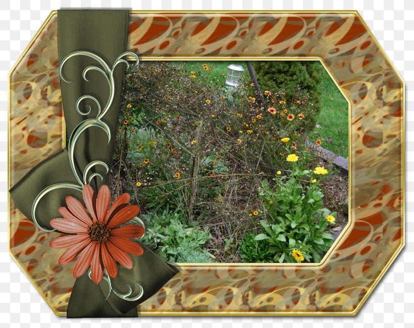Image Clip Art Picture Frames GIF Blog, PNG, 820x650px, Picture Frames, Animaatio, Blog, Flora, Flower Download Free