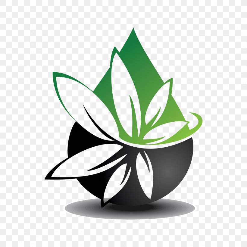 New Age Care Center Dispensary Cannabis Shop Medical Cannabis, PNG, 1350x1350px, New Age Care Center, California, Cannabis, Cannabis Shop, Dispensary Download Free