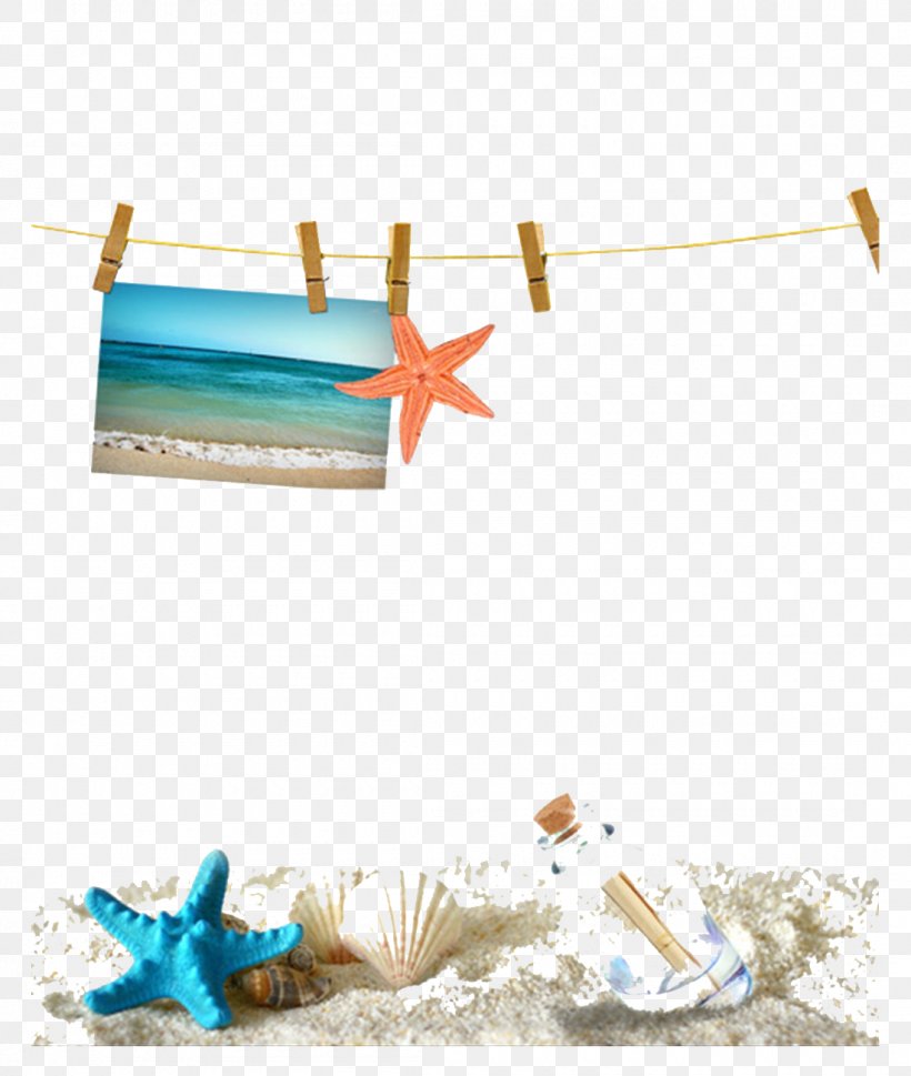 Sandy Beach Seashell Web Template, PNG, 1100x1300px, Sandy Beach, Beach, Information, Pixel, Poster Download Free