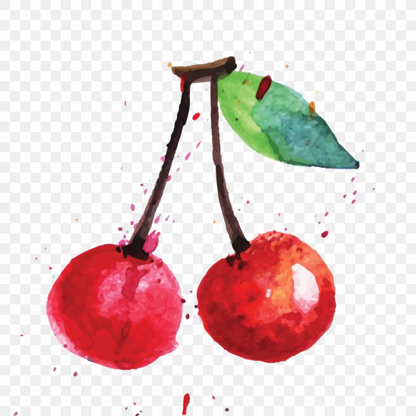 Fruit Drawing Illustration Image Clip Art, PNG, 850x850px, Fruit, Accessory Fruit, Acerola, Acerola Family, Art Download Free