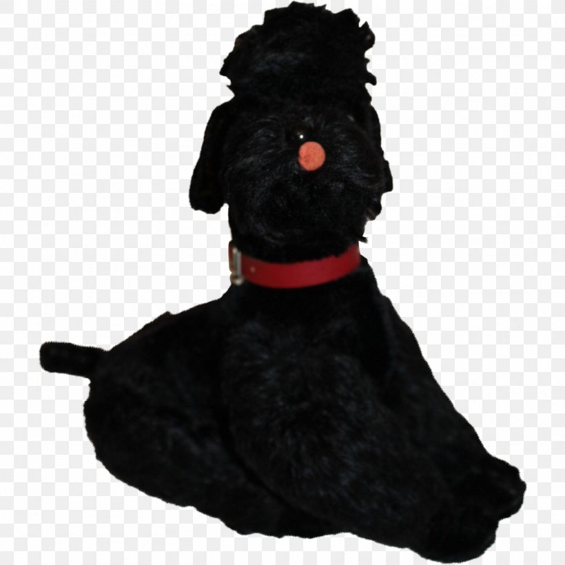 Scottish Terrier Schnoodle Black Russian Terrier Portuguese Water Dog Dog Breed, PNG, 1771x1771px, Scottish Terrier, Animal, Black, Black Russian Terrier, Breed Download Free
