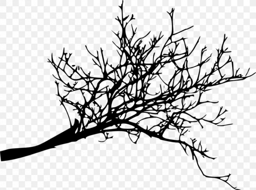 Twig Branch Tree Clip Art, PNG, 850x631px, Twig, Artwork, Black And White, Branch, Flora Download Free