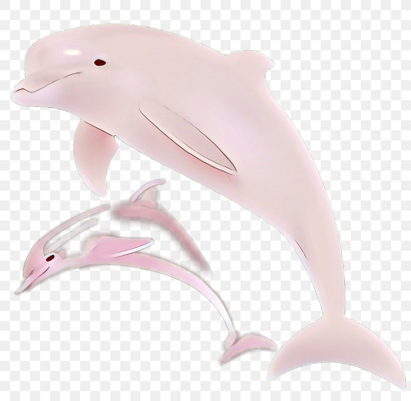 Dolphin Product Design Pink M, PNG, 800x800px, Dolphin, Animal Figure, Beak, Bottlenose Dolphin, Cetacea Download Free