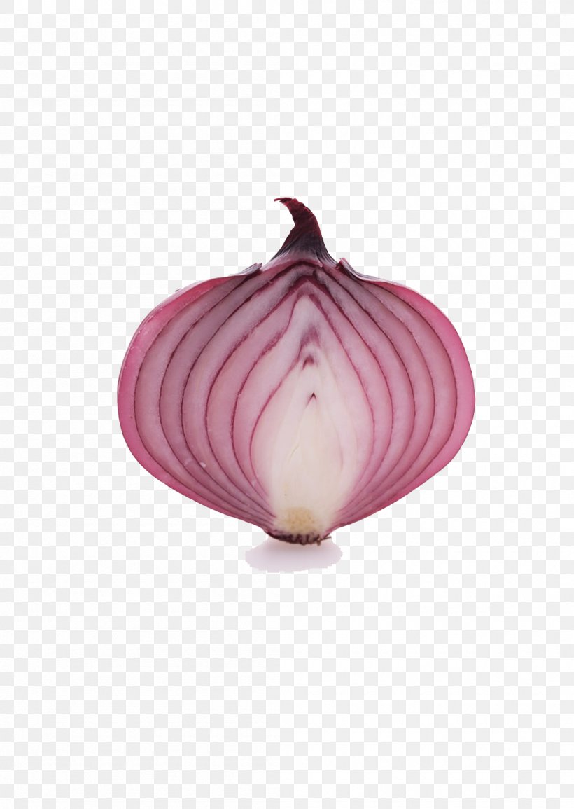 Onion Allium Fistulosum Vegetable Food Scrambled Eggs, PNG, 1050x1479px, Onion, Allium, Allium Fistulosum, Auglis, Condiment Download Free