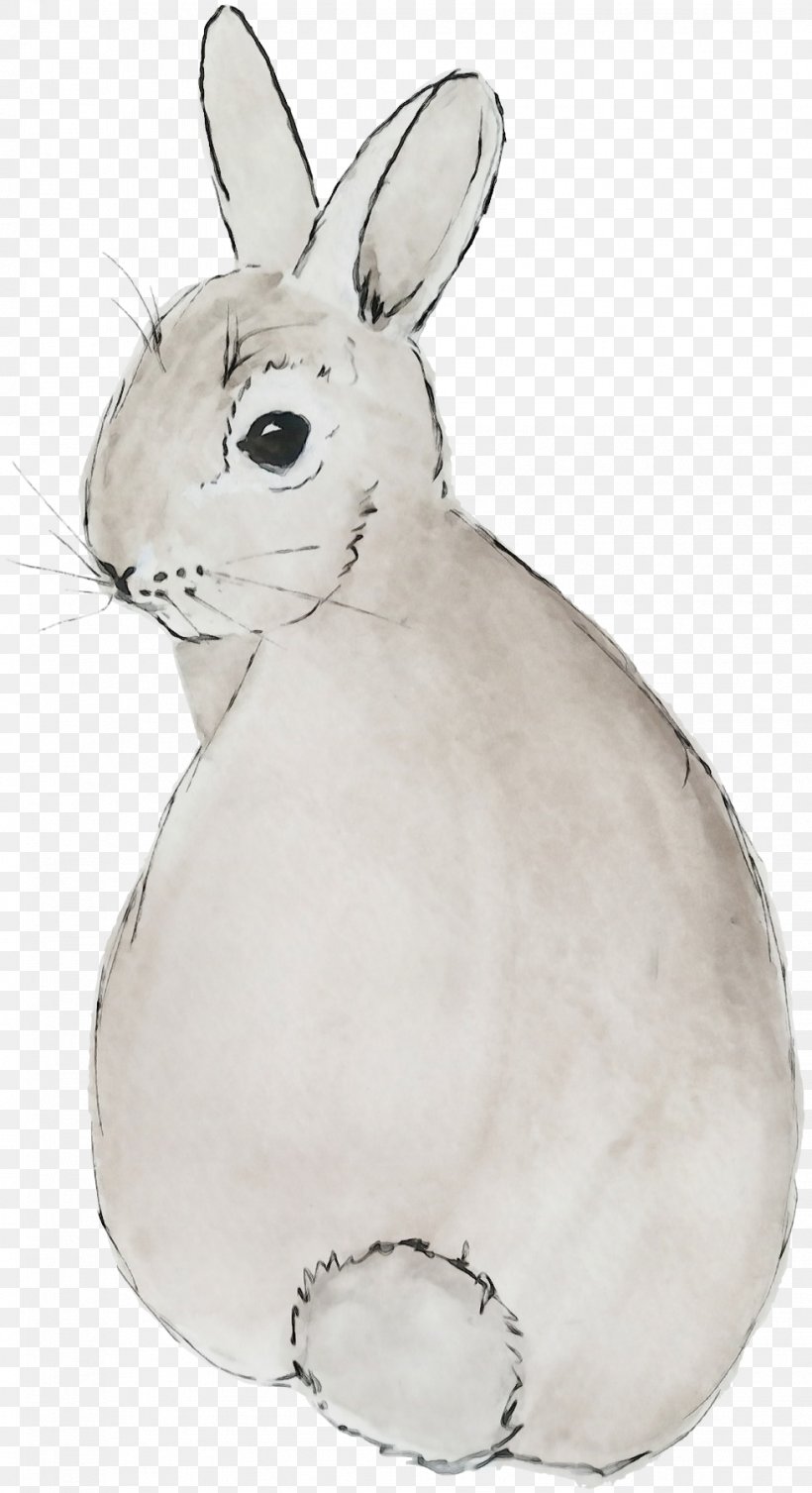 Rabbit Mountain Cottontail Domestic Rabbit Rabbits And Hares White, PNG, 979x1800px, Watercolor, Arctic Hare, Domestic Rabbit, Hare, Mountain Cottontail Download Free