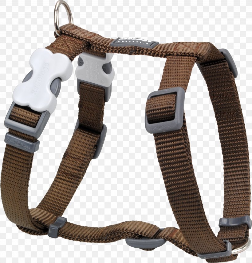 Dingo Pug Dog Harness Horse Harnesses Puppy, PNG, 3000x3142px, Dingo, Cat, Collar, Dog, Dog Breed Download Free