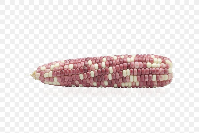 Maize Purple Corn, PNG, 1024x683px, Maize, Food, Google Images, Jewellery, Jewelry Making Download Free