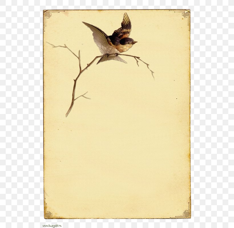 Paper Bird In The Tree Vintage Clothing, PNG, 583x800px, Paper, Antique, Art, Beak, Bird Download Free