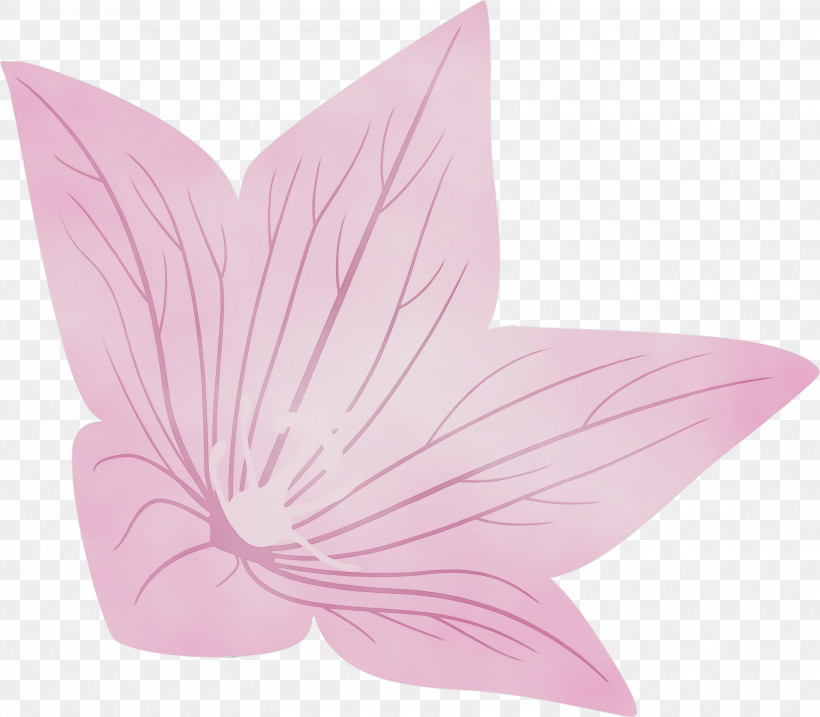 Petal Flower Butterflies Lepidoptera, PNG, 3000x2626px, Balloon Flower, Butterflies, Flower, Lepidoptera, Paint Download Free