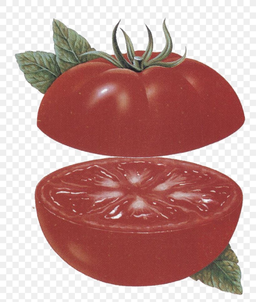 Tomato Depósitos De Calcio Mineral Calcium Depression, PNG, 785x969px, Tomato, Apple, Blog, Calcium, Depression Download Free