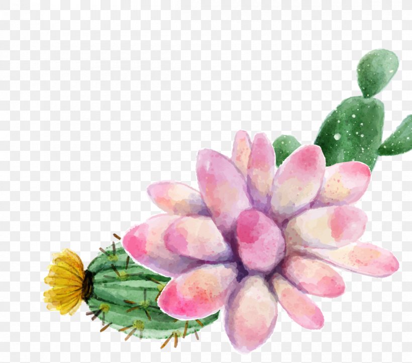 Watercolor Painting Succulent Plant, PNG, 1200x1058px, Cactaceae, Artificial Flower, Blossom, Cut Flowers, Drawing Download Free