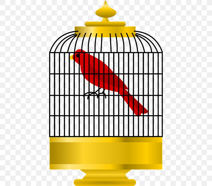 Cage Bird Parrot Cartoon Clip Art, PNG, 440x720px, Cage, Area, Beak, Bird, Birdcage Download Free