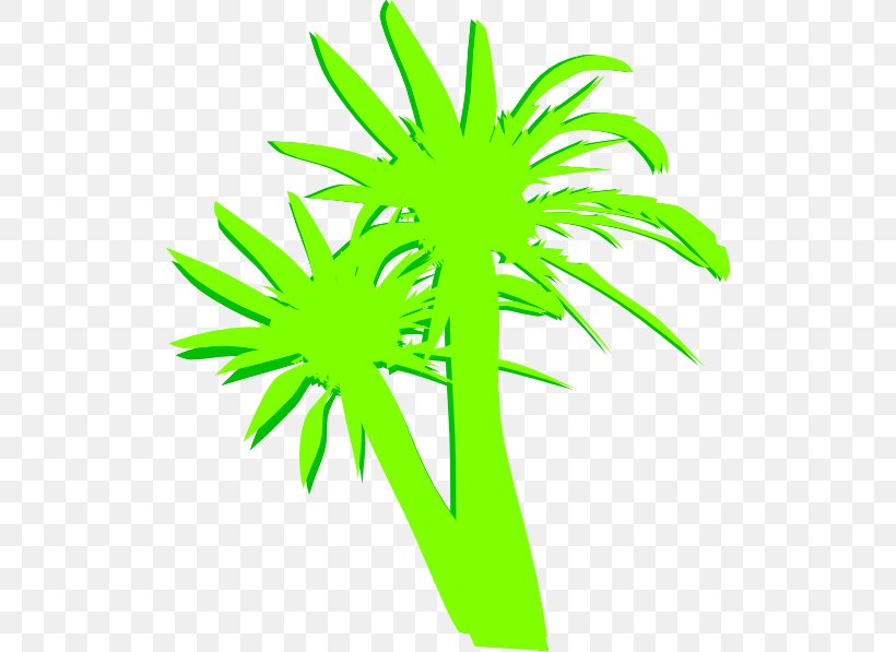 Clip Art Palm Trees Image, PNG, 516x597px, Palm Trees, Arecales, Art, Email, Flowering Plant Download Free