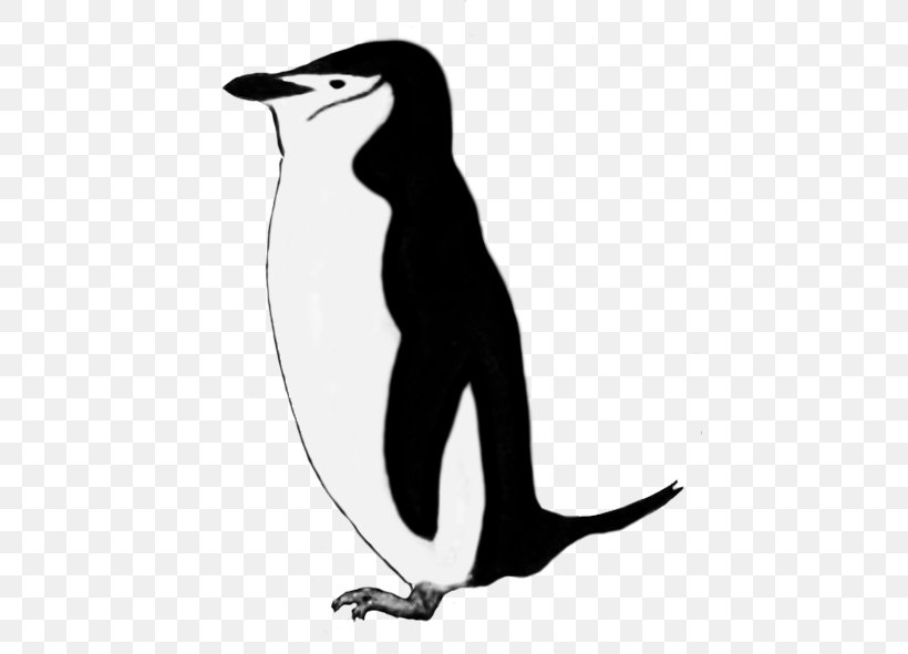King Penguin Emperor Penguin Royal Penguin Clip Art, PNG, 449x591px, King Penguin, Beak, Bird, Black And White, Cartoon Download Free