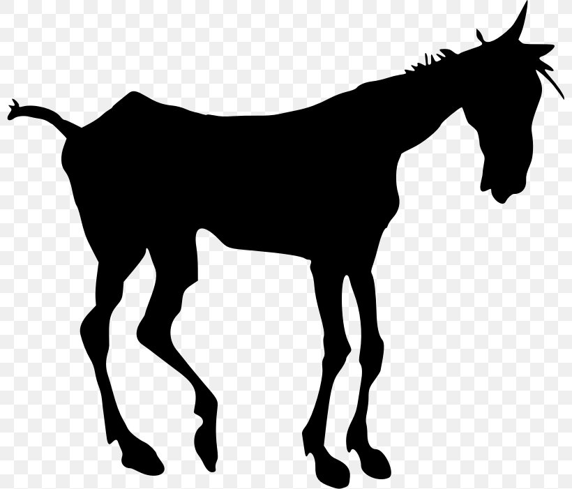 Mule Mustang Silhouette Foal Clip Art, PNG, 799x701px, Mule, Black And White, Bridle, Colt, Draft Horse Download Free
