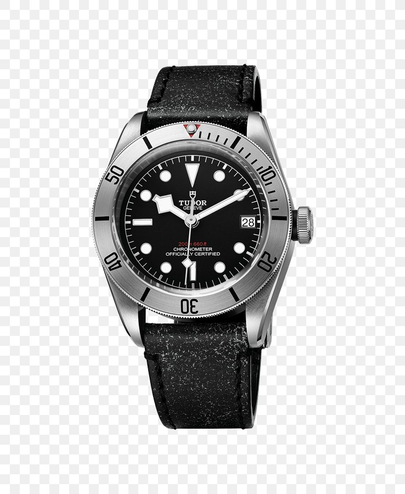 Tudor Watches Diving Watch Automatic Watch Baselworld, PNG, 700x1000px, Tudor Watches, Automatic Watch, Baselworld, Bracelet, Brand Download Free