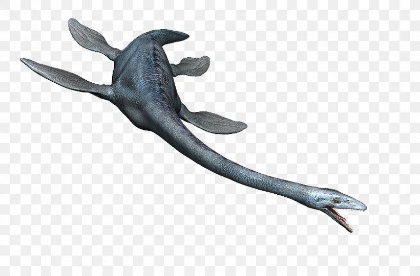 Elasmosaurus Amazonsaurus Antarctosaurus Plesiosauria Dinosaur, PNG, 835x550px, Elasmosaurus, Animal, Animal Figure, Antarctosaurus, Aquatic Animal Download Free