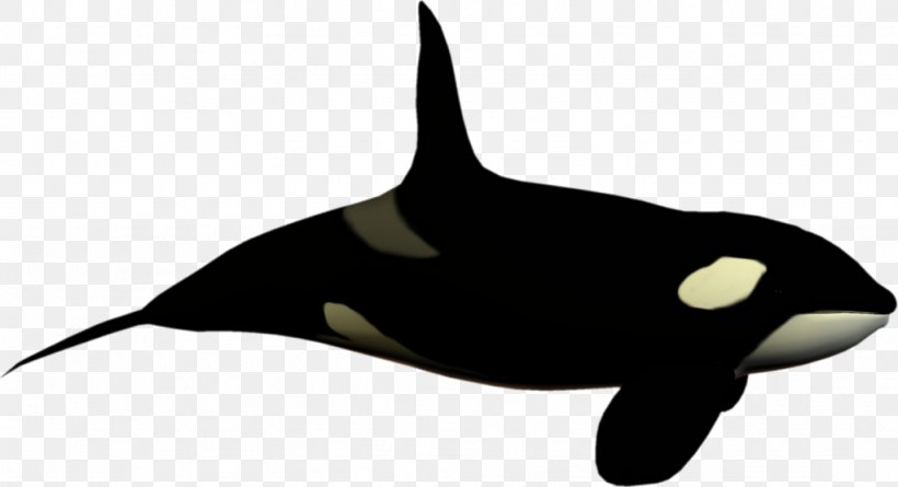 sea world black and white clipart