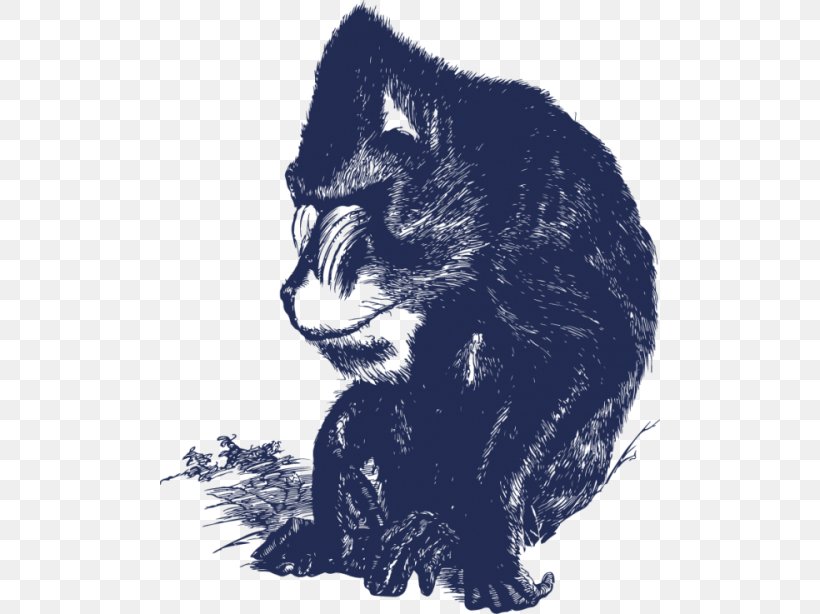 Black Cat Kitten Whiskers Raccoon, PNG, 500x614px, Black Cat, Black, Black M, Canidae, Carnivoran Download Free