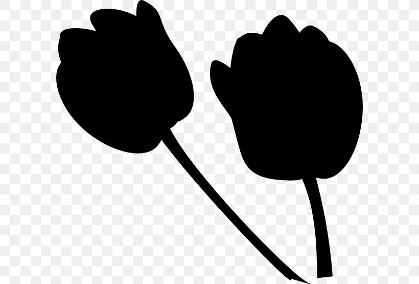 Flower Clip Art Plant Stem Leaf Product Design, PNG, 600x555px, Flower, Blackandwhite, Flowering Plant, Herbaceous Plant, Leaf Download Free