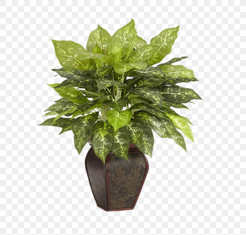 Flowerpot Artificial Flower Plant Leaf Dumb Canes, PNG, 783x783px, Flowerpot, Areca Palm, Arecaceae, Artificial Flower, Dendrobium Download Free