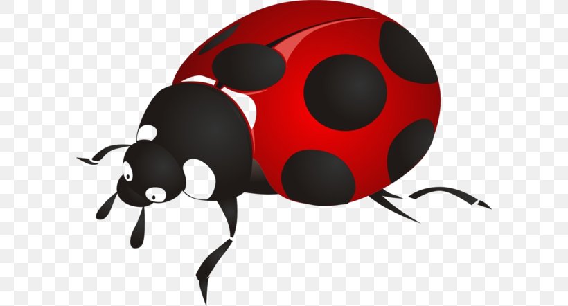 Ladybird Beetle Drawing Clip Art, PNG, 600x442px, Ladybird Beetle, Animated Cartoon, Animated Film, Beetle, Cartoon Download Free