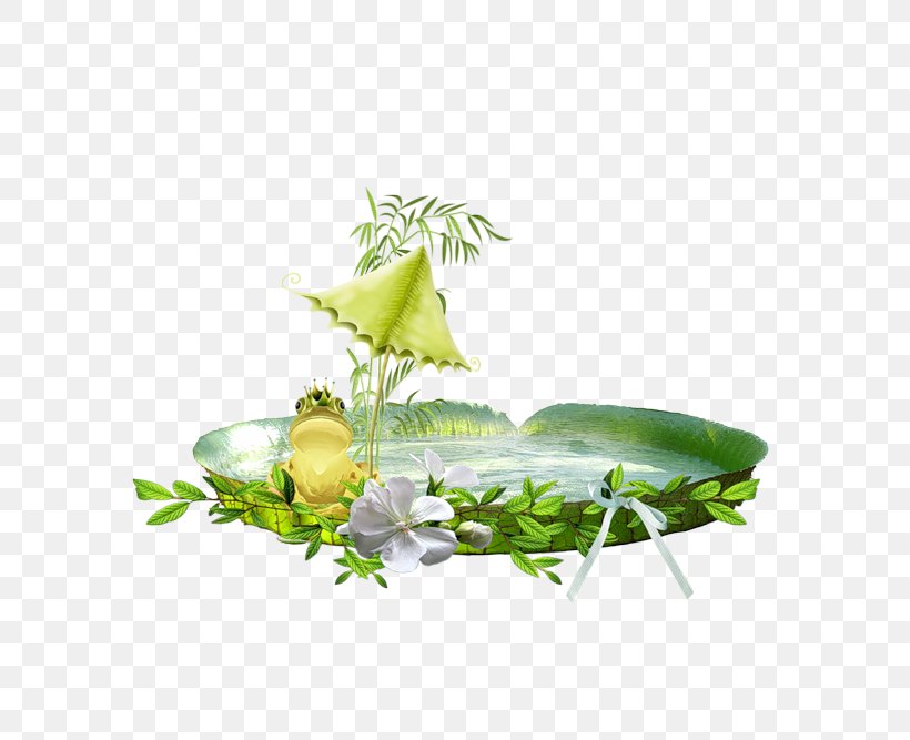 Alternative Health Services Leaf Herbalism Design, PNG, 800x667px, Alternative Health Services, Computer, Floral Design, Flower, Grass Download Free