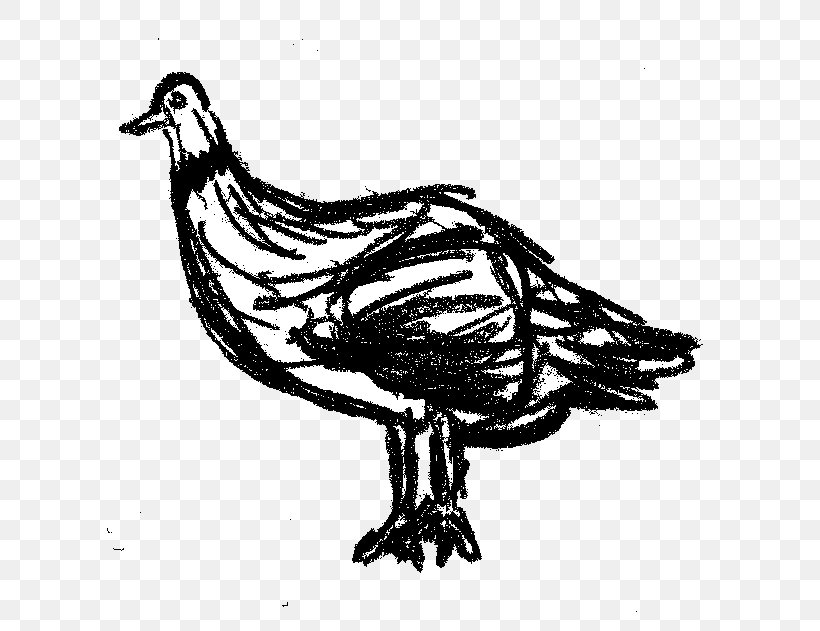 Drawing Black And White, PNG, 610x631px, Drawing, Art, Beak, Bird, Black And White Download Free