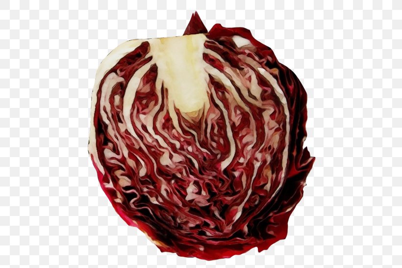 Radicchio Vegetable Leaf Vegetable Red Cabbage, PNG, 500x546px, Watercolor, Cabbage, Food, Leaf Vegetable, Paint Download Free