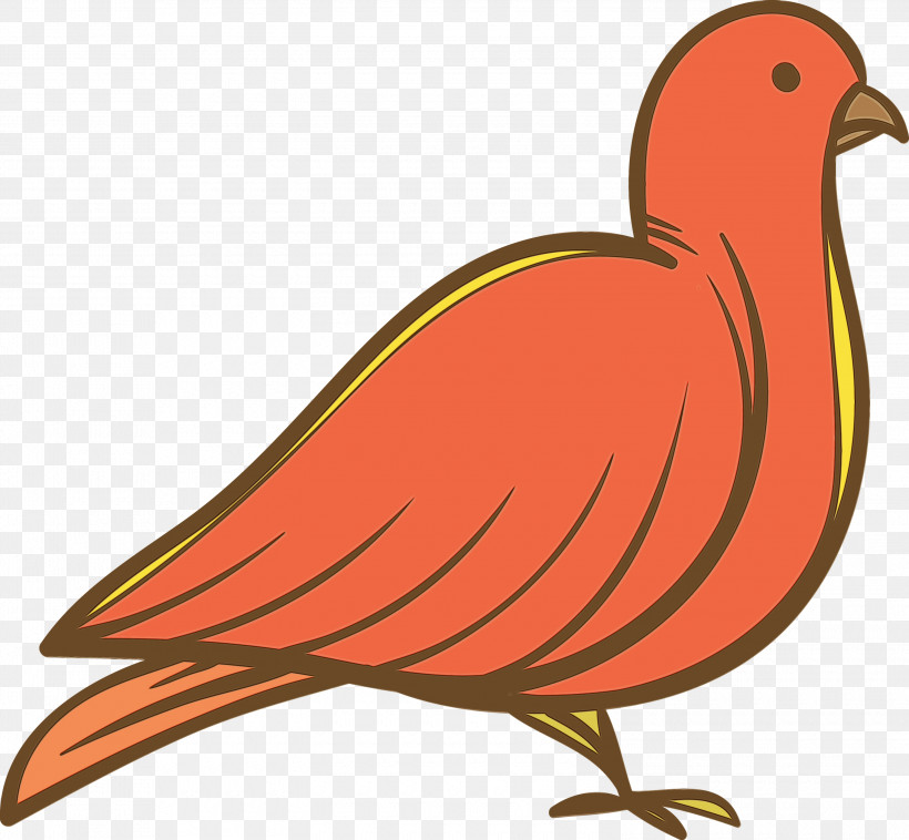 Feather, PNG, 3000x2774px, Cartoon Bird, Beak, Biology, Birds, Chicken Download Free